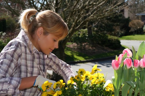 Inspector examining a property lawn during an assessment