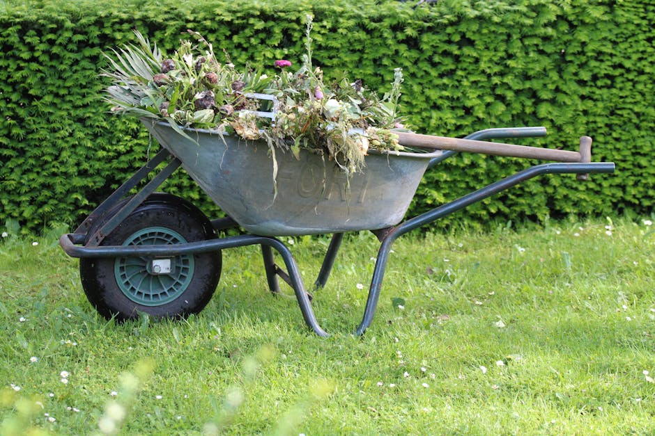 A person operating a ride-on lawnmower on a well-maintained grassy lawn in a garden, with neatly trimmed edges and visible mowing patterns. The garden features dense shrubbery and bushes in the backgr