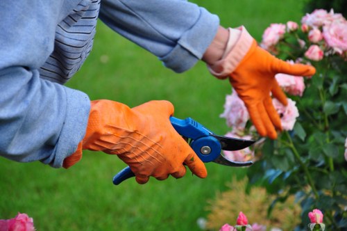 Expert Surbiton gardeners working on a lush garden